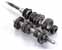 Greenline Motorsports - OS Giken  5th Gear