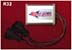 Greenline Motorsports - K's  Digital G Sensor