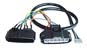 Greenline Motorsports - PIVOT  3-DRIVE Car Specialized Harness