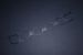 Greenline Motorsports - D-MAX  Surge Tank Gasket