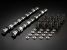 Greenline Motorsports - JUN  Stage 2 Camshaft Kit