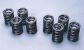 Greenline Motorsports - KAMEARI  SPL Valve Springs