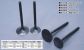 Greenline Motorsports - KAMEARI  Lightweight Big Valves