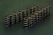 Greenline Motorsports - NAPREC  Reinforced Valve Springs