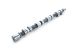 Greenline Motorsports - Real Speed Engineering SPEC-S Camshaft