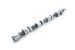 Greenline Motorsports - Real Speed Engineering SPEC-R Camshaft