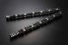 Greenline Motorsports - TOMEI PONCAM Camshaft Kit