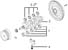 Greenline Motorsports - TRD  Bearing set, Crankshaft
