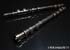 Greenline Motorsports - TRUST GReddy Performance Camshaft EASY