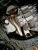 Greenline Motorsports - Rs Racing Service RRP Racing Front Pipe