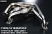 Greenline Motorsports - SARD  Exhaust Manifold