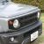 Greenline Motorsports - Apio  Vintage Iron Grille