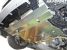 Greenline Motorsports - LAILE ARP SPORT Under Guard