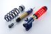 Greenline Motorsports - ENDLESS ZEAL Function-IMA PS