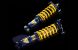 Greenline Motorsports - ENDLESS ZEAL Function Plus 10