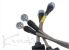 Greenline Motorsports - Kinokuni  Brake Line
