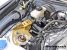Greenline Motorsports - LAILE Beatrush D.B.S