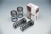 Greenline Motorsports - RS-R  Ti2000 Suspension Coil