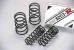 Greenline Motorsports - RS-R  RS-R Down Suspension Coil