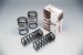 Greenline Motorsports - RS-R  Ti2000 Suspension Coil